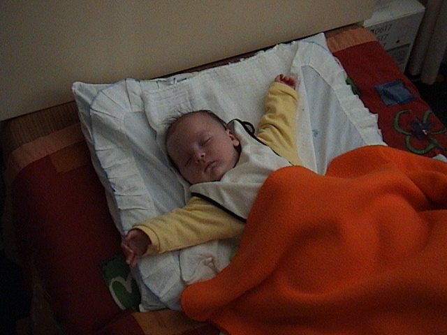 04032901.JPG