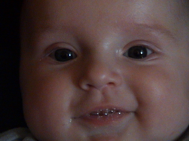 04060201.JPG