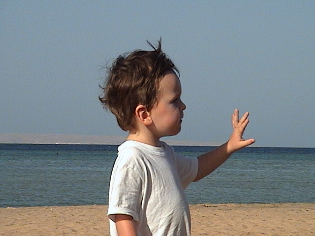 06022411.JPG