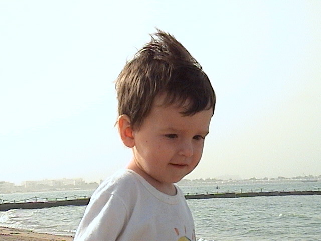 06022774.JPG